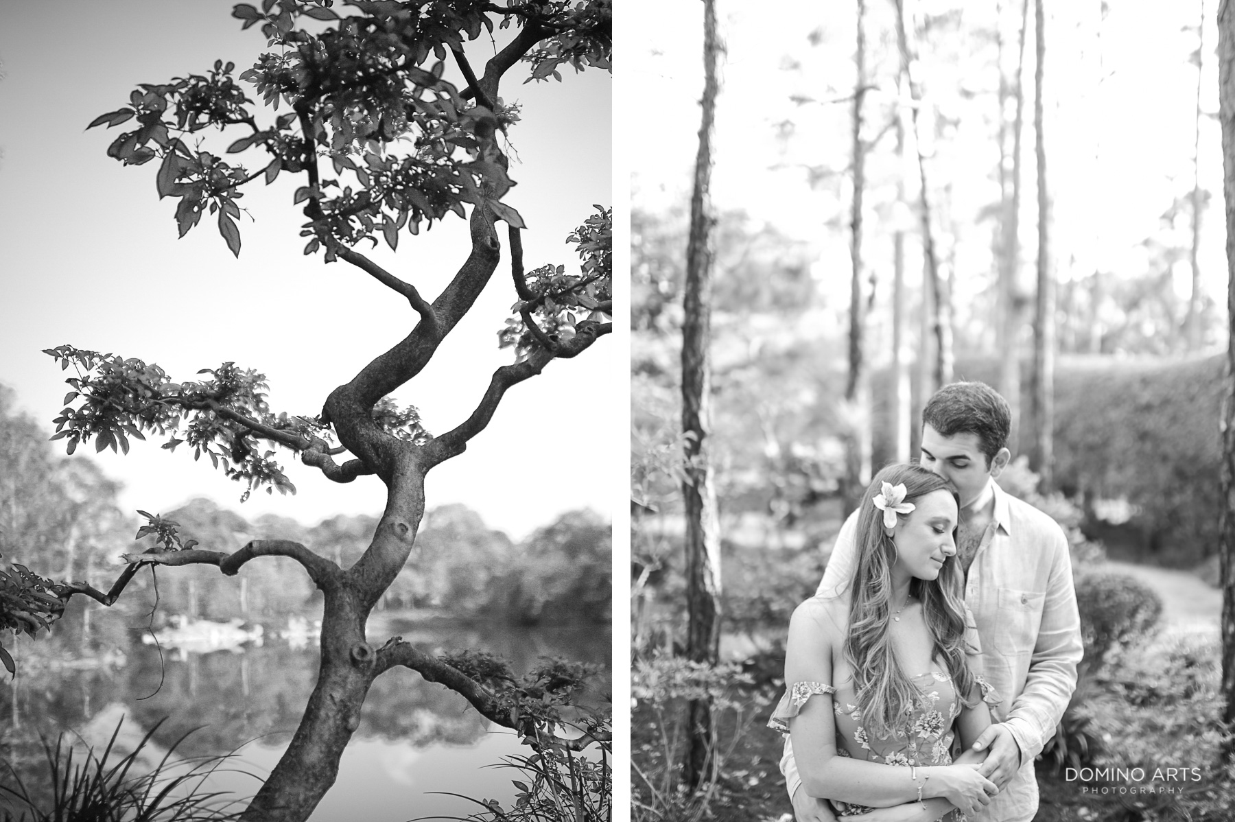Bonsai and love at Morikami Museum and Japanese Gardens Engagement photo session