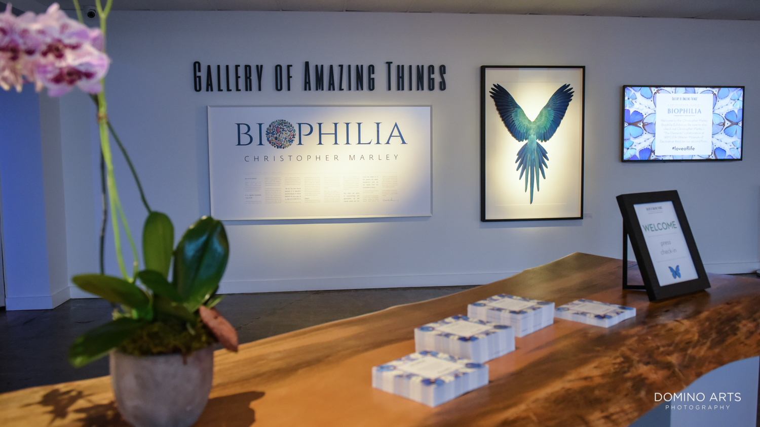 Biophilia by Christopher Marley a dialogue with Art, Nature and Science presented by Gallery of Amazing Things